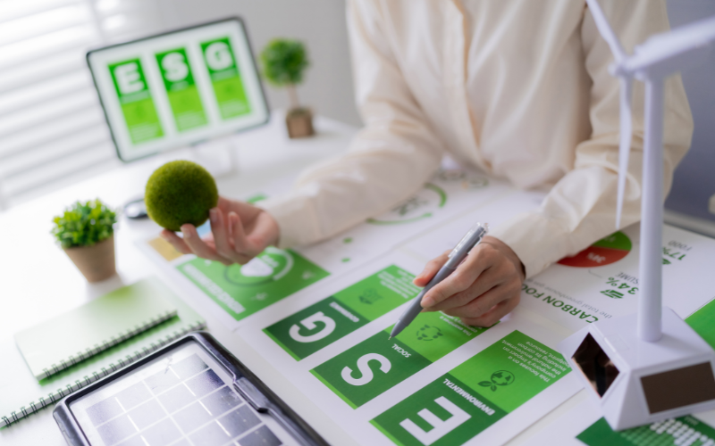 SOSTENIBILITÀ IN AZIENDA: LA RENDICONTAZIONE DI SOSTENIBILITÀ, IL RATING E.S.G. E LA GOVERNANCE